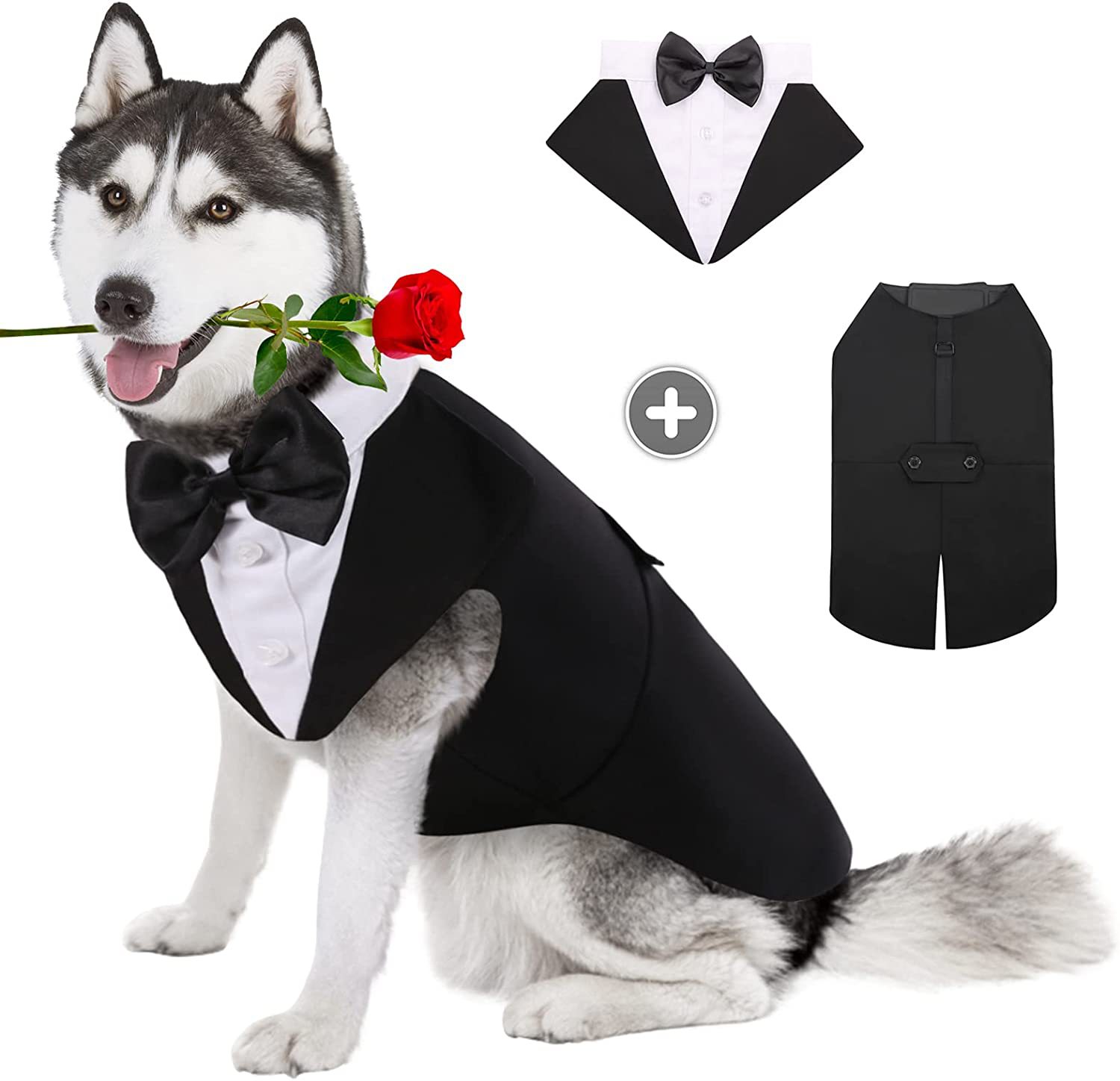 Suitsupply Wedding Tuxedo - Ropa para perros, desfile de moda,