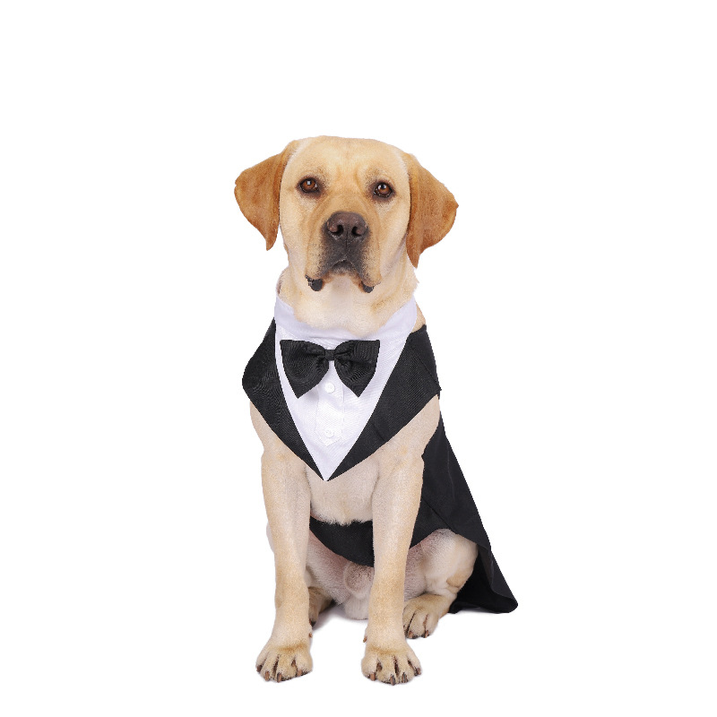 Ropa para perros, desfile de m - Suitsupply Wedding Tuxedo reseña y precio