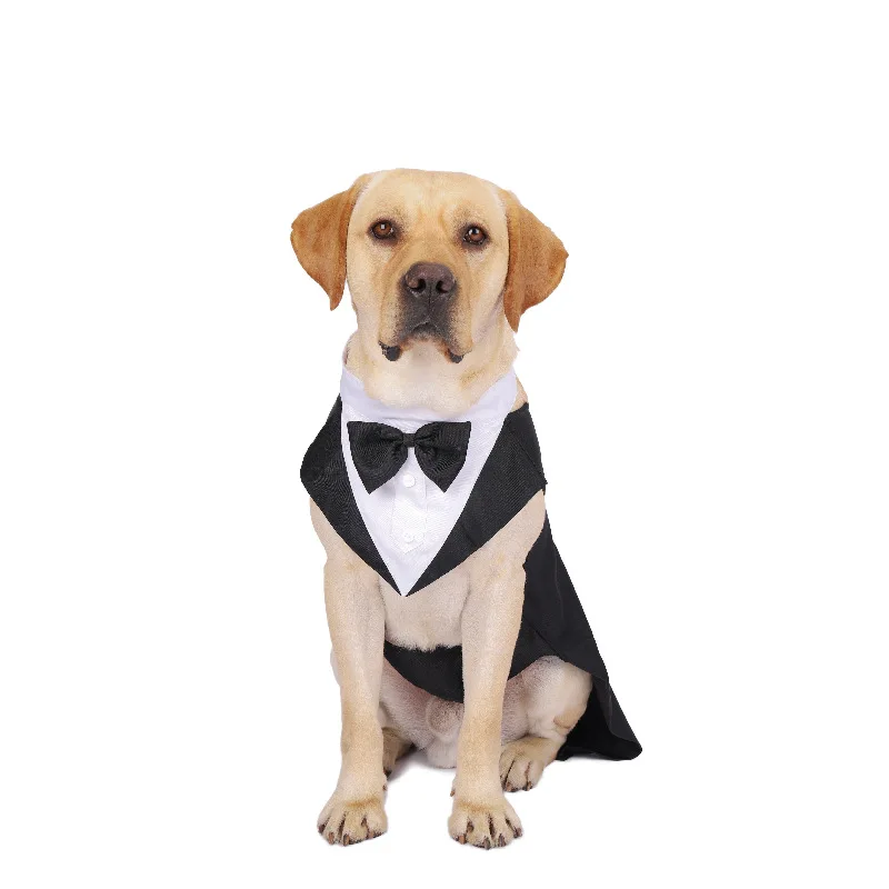 Ropa para perros, desfile de m - Suitsupply Wedding Tuxedo reseña y precio