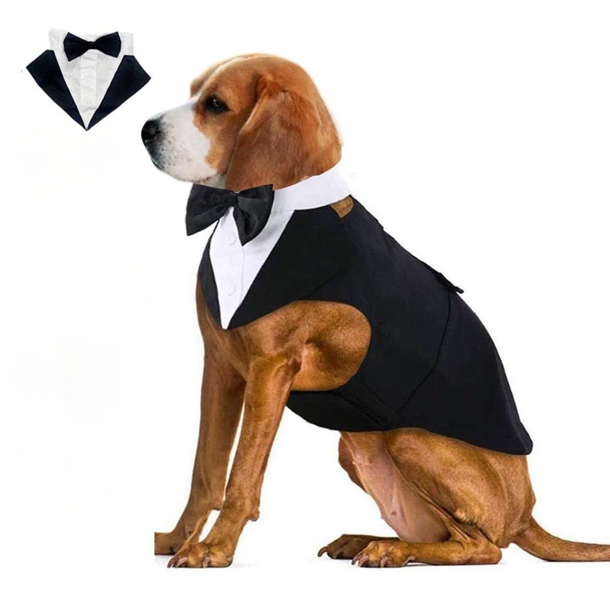 Ropa para Perros, Traje Formal - Suitsupply Wedding Tuxedo reseña y precio